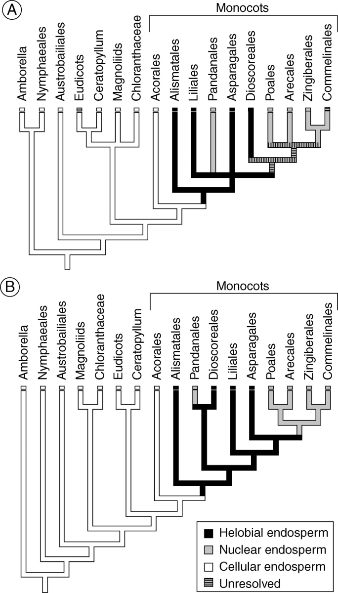 Fig. 14.