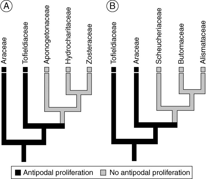 Fig. 11.