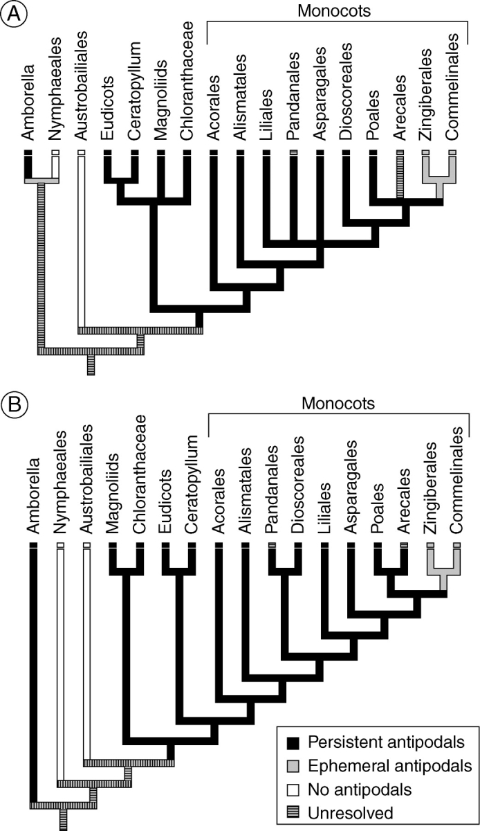 Fig. 13.