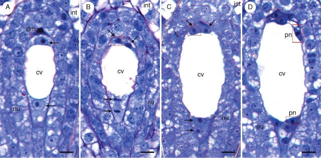 Fig. 2.