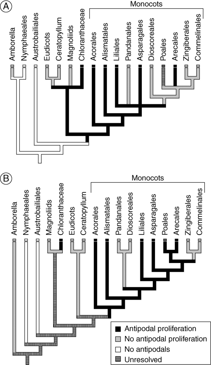 Fig. 12.