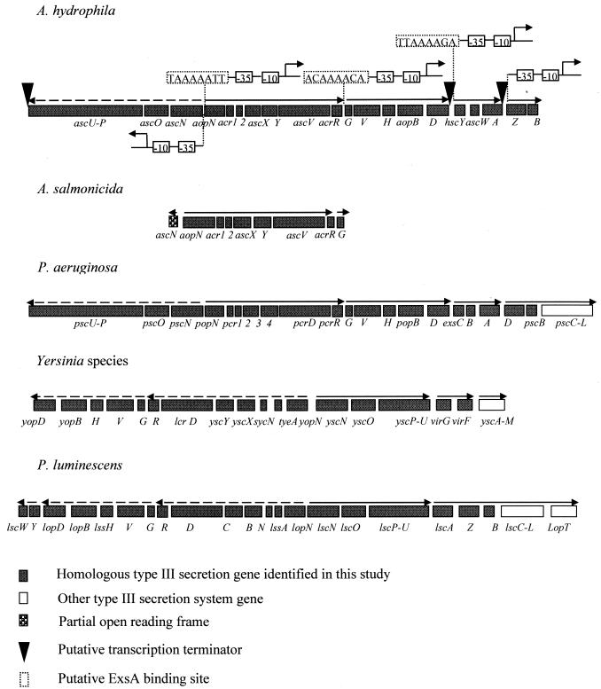 FIG. 1.