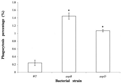 FIG. 5.