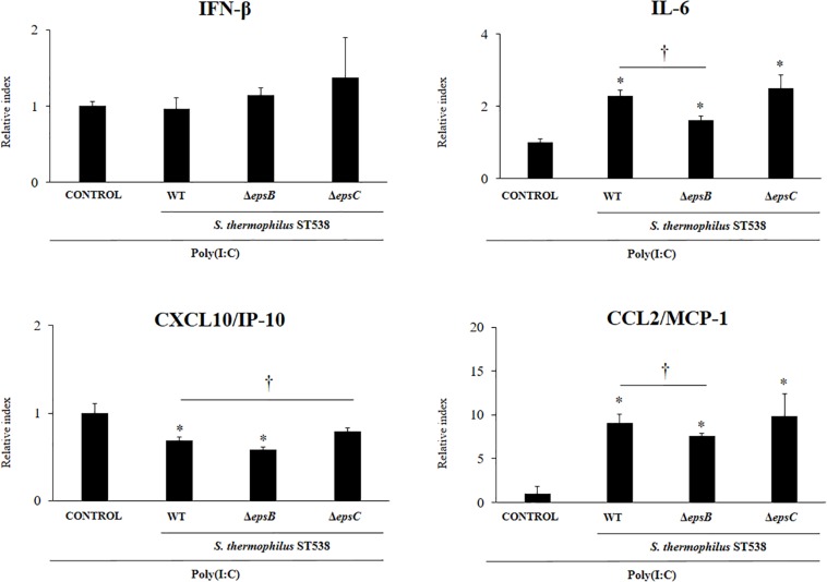 FIGURE 4