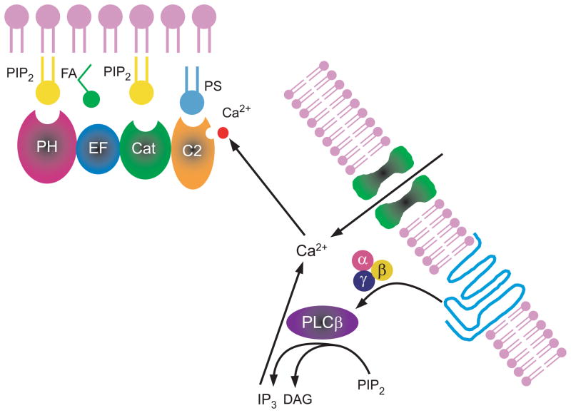 Fig 11