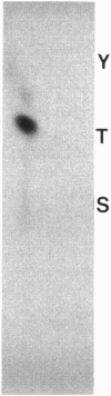 2503