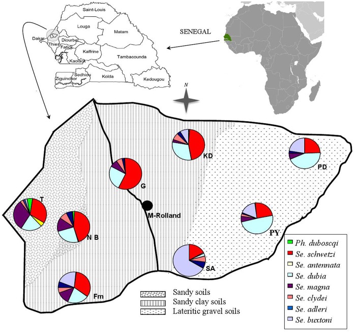 Fig 1