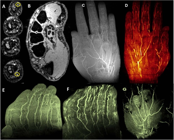 Fig 8