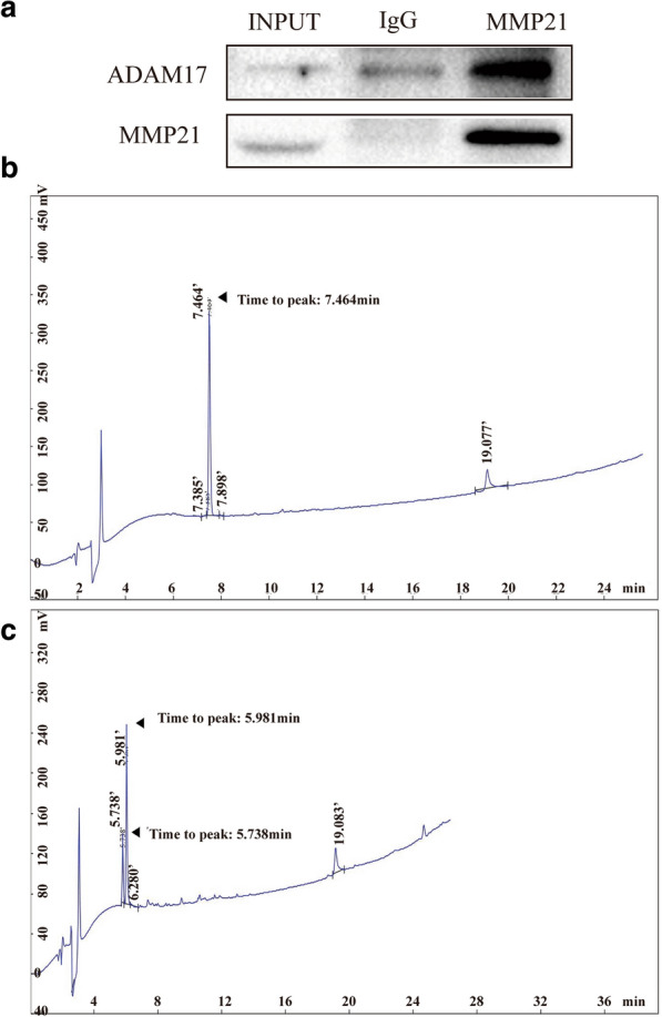 Fig. 6