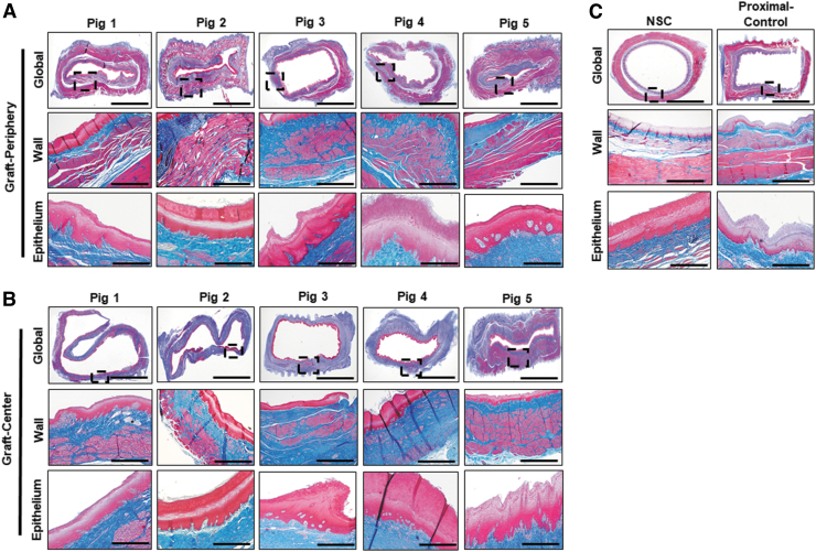 FIG. 4.