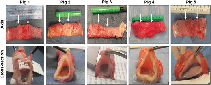 FIG. 3.