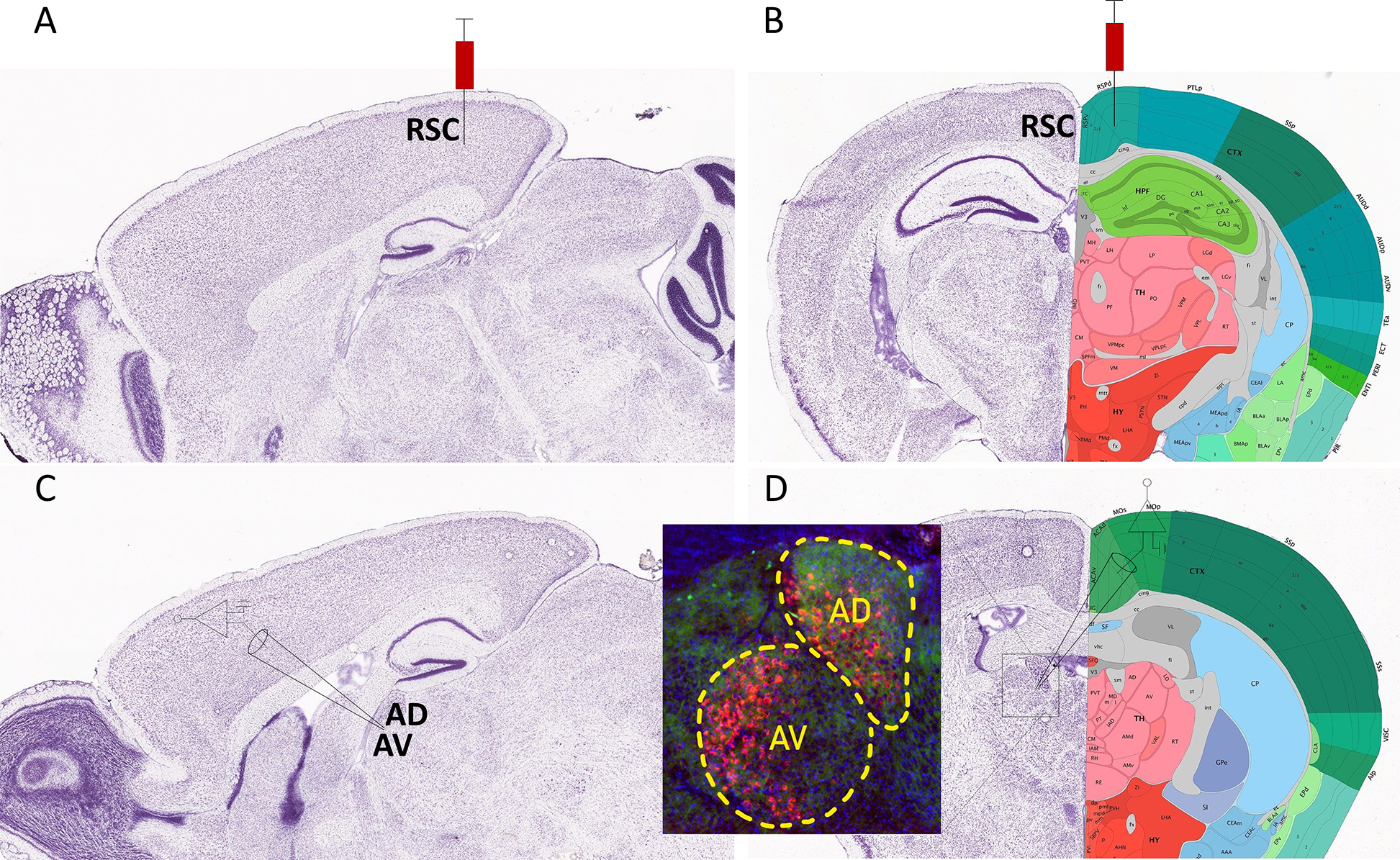 Figure 3.