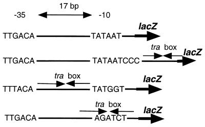 graphic file with name pq169217701t.jpg