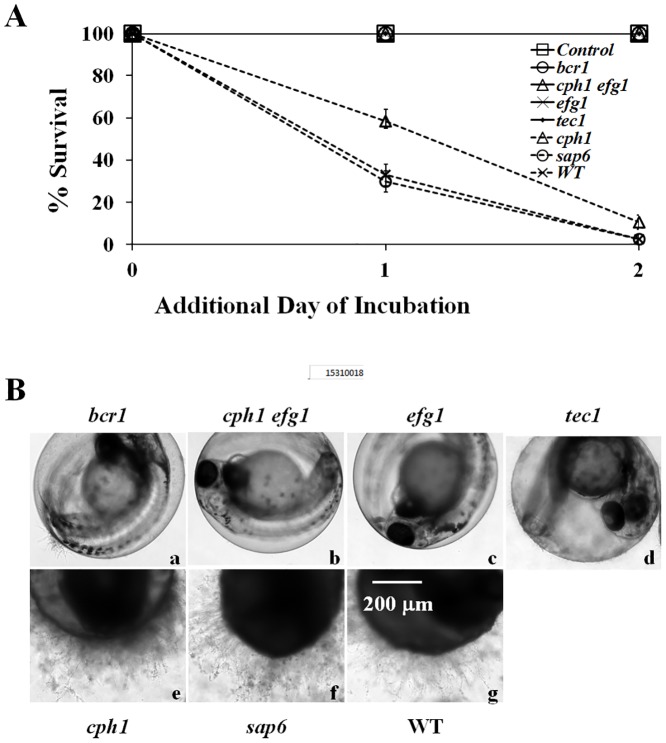 Fig 4