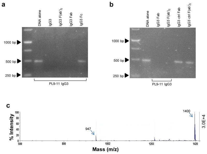 Fig 5