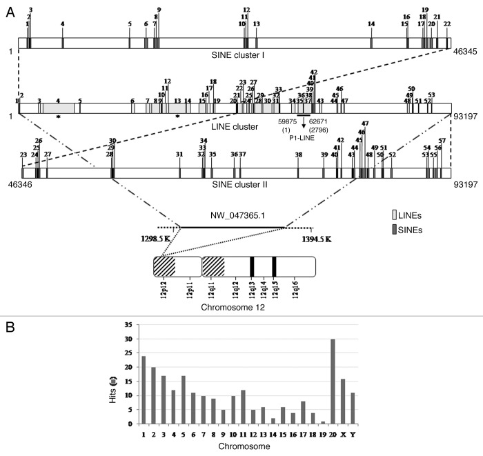 graphic file with name rna-9-1380-g2.jpg