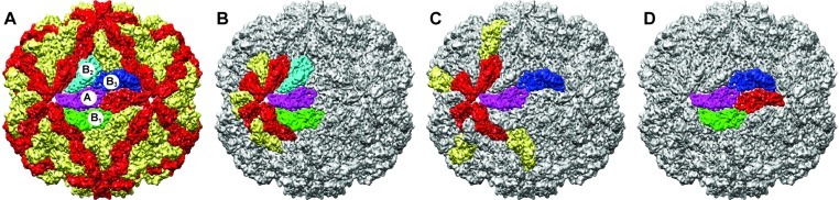 FIG 6 