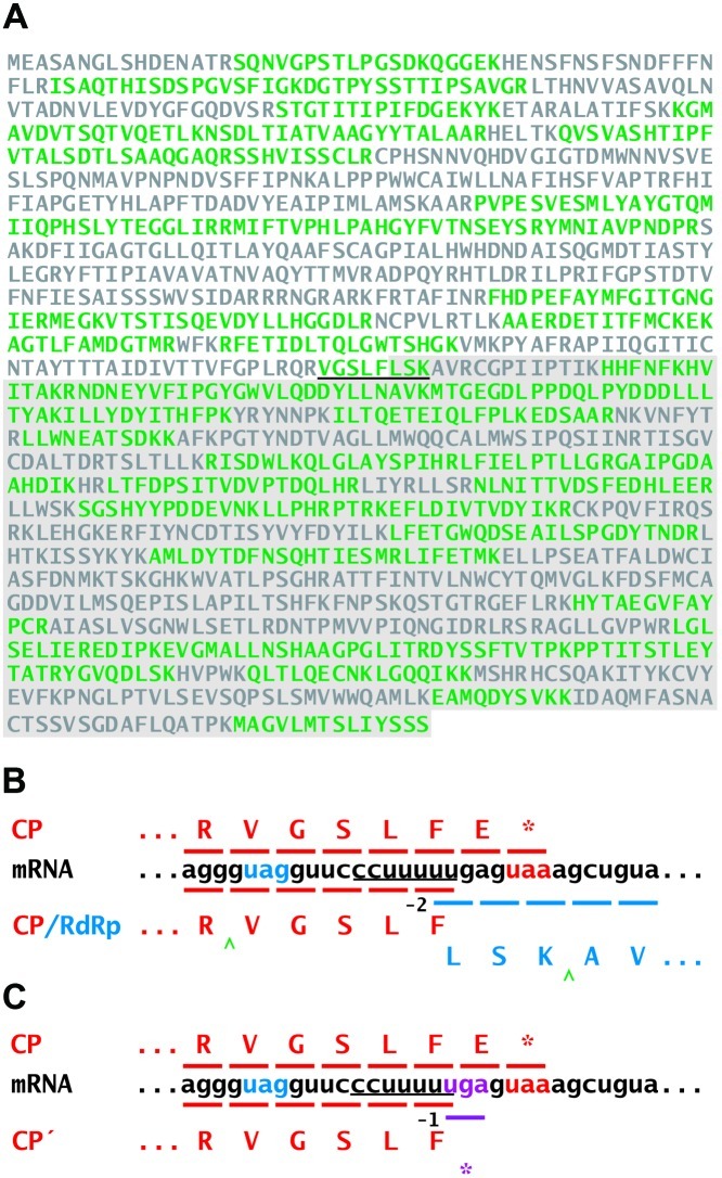 FIG 2 