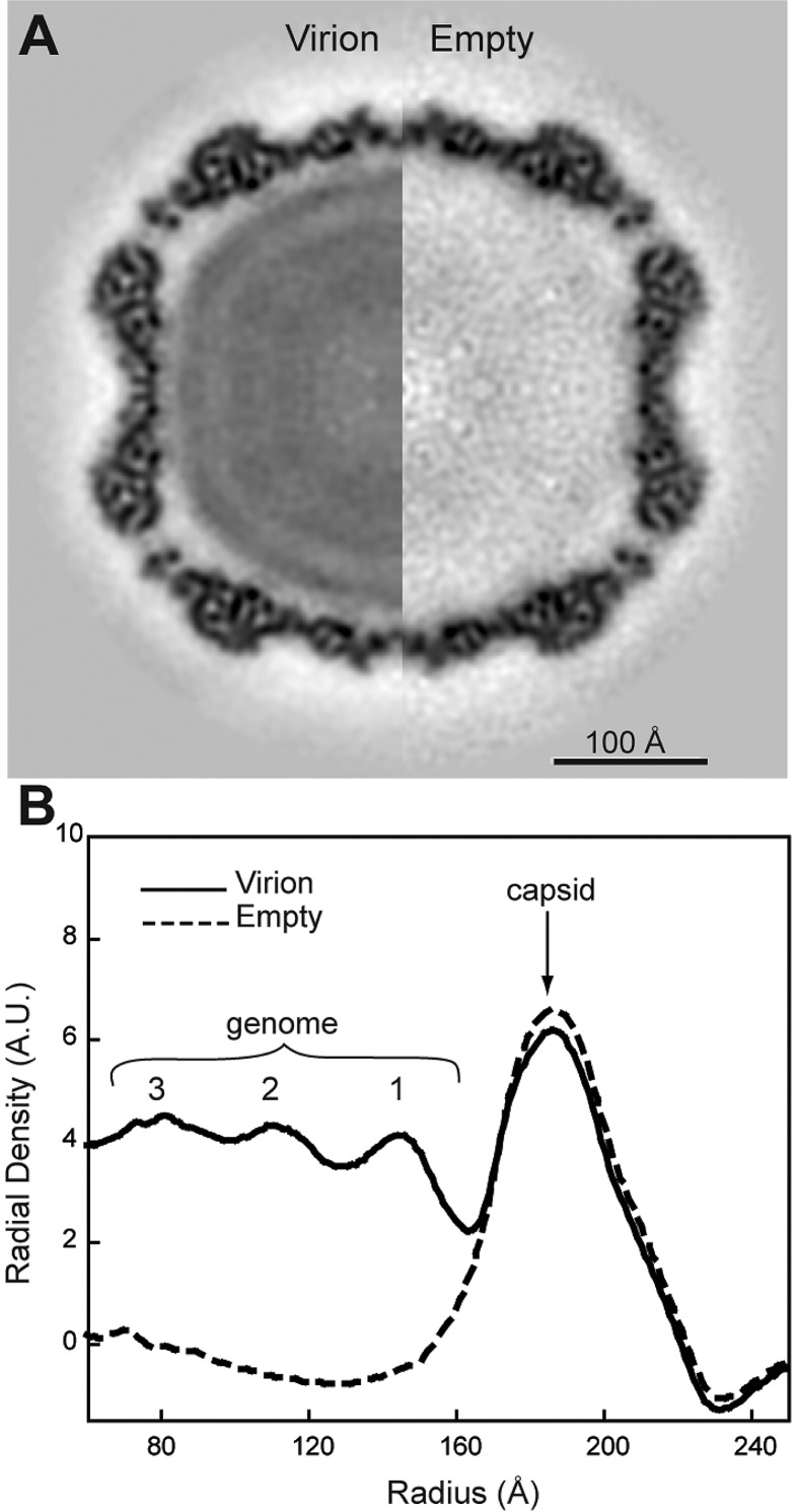 FIG 5 