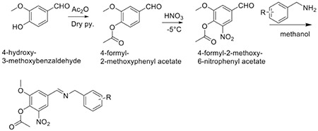 Scheme 1