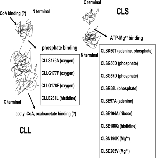 FIG. 8.