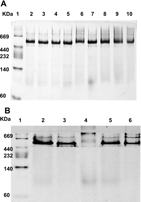 FIG. 7.