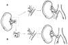 Fig. 3a, b