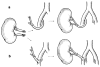 Fig. 4a, b