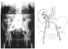Fig.6
