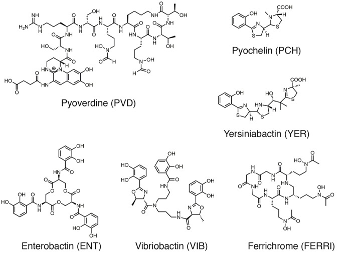 Fig. 1.