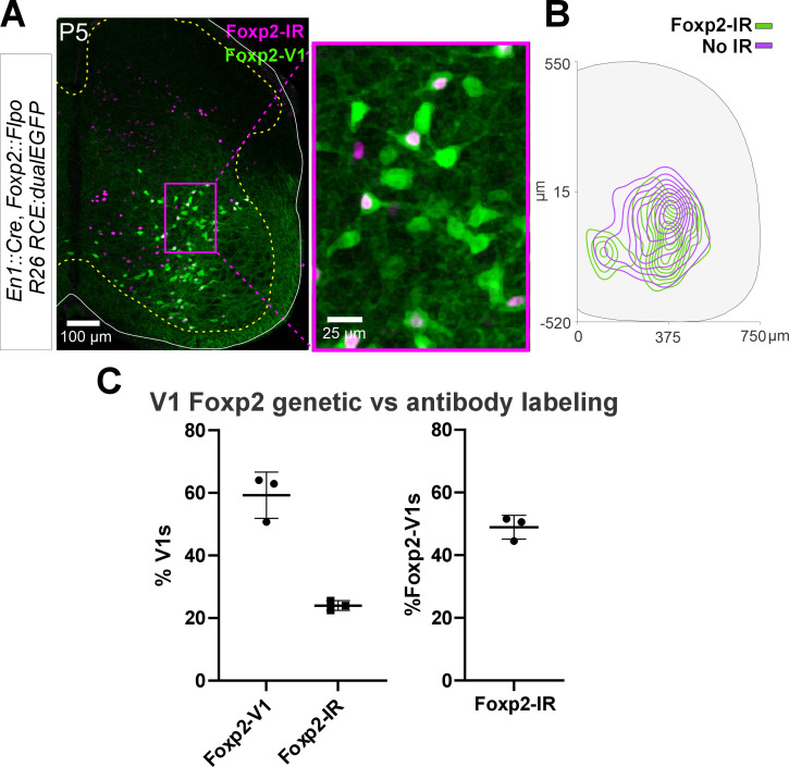 Figure 3—figure supplement 1.