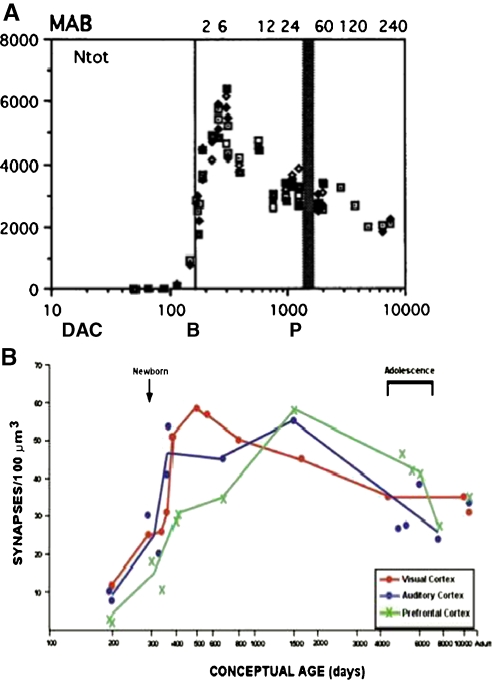 Fig. 10