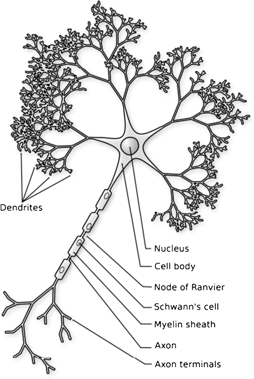 Fig. 2