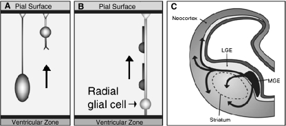 Fig. 8