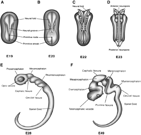 Fig. 6