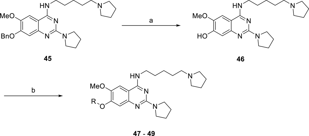 Scheme 3