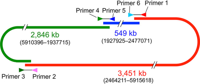 FIG 1