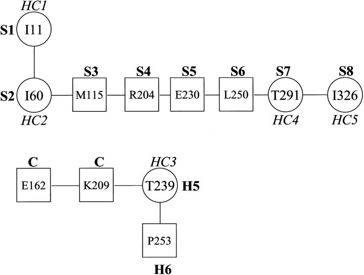 FIGURE 2