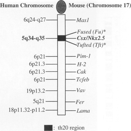 FIG. 7