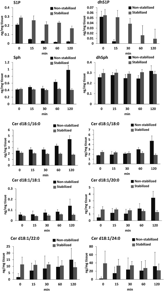 Fig. 2. Results for the determination of sphingolipids in liver at room temperature (25°C) without (n=4, dark gray, non-stabilized) or with the heat stabilizer (n=4, clear gray, stabilized). Values are mean±S.D.