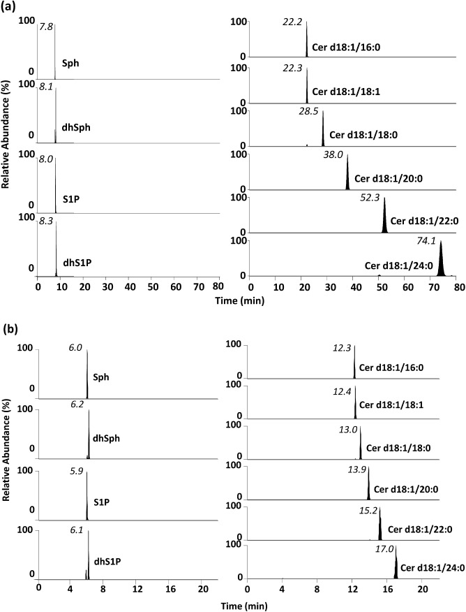 Fig. 1. SRM chromatograms of sphingolipids (1.0 ng mL−1) obtained with the developed method. The separation was performed with (a) a Capcell Pak ACR column (100 mm×1.5 mm i.d., 3 μm particle size) or (b) a Capcell Pak C8 UG120 column (100 mm×1.5 mm i.d., 5 μm particle size).