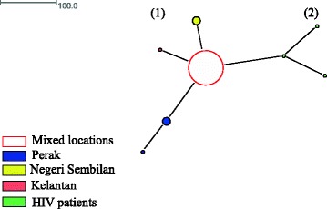 Fig. 1