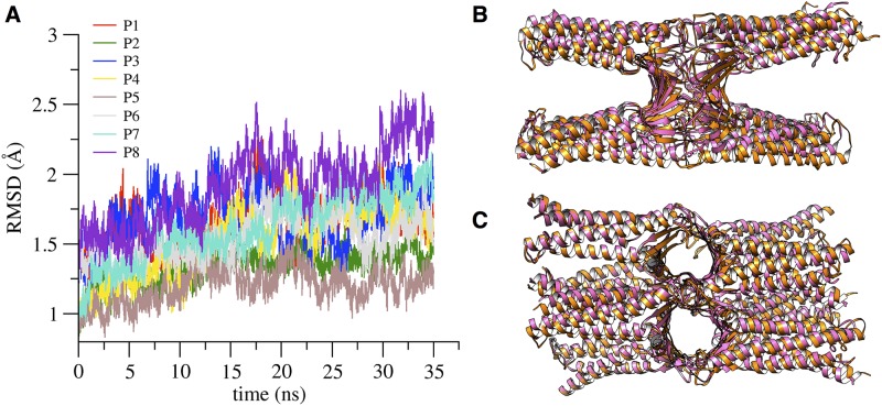 Fig 10