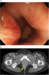 Fig. 5