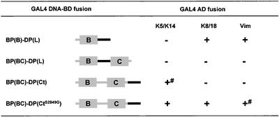 Figure 10.