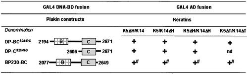 Figure 11.