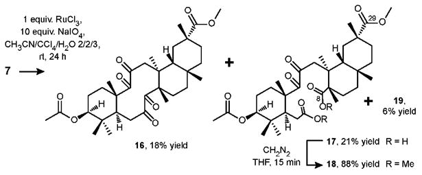 Scheme 5