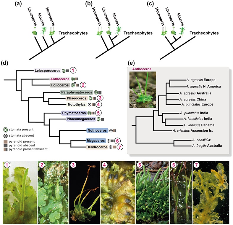 Fig. 3: