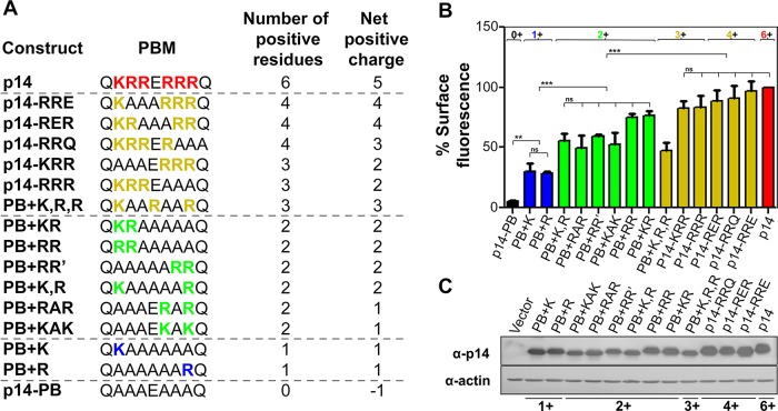 FIGURE 6: