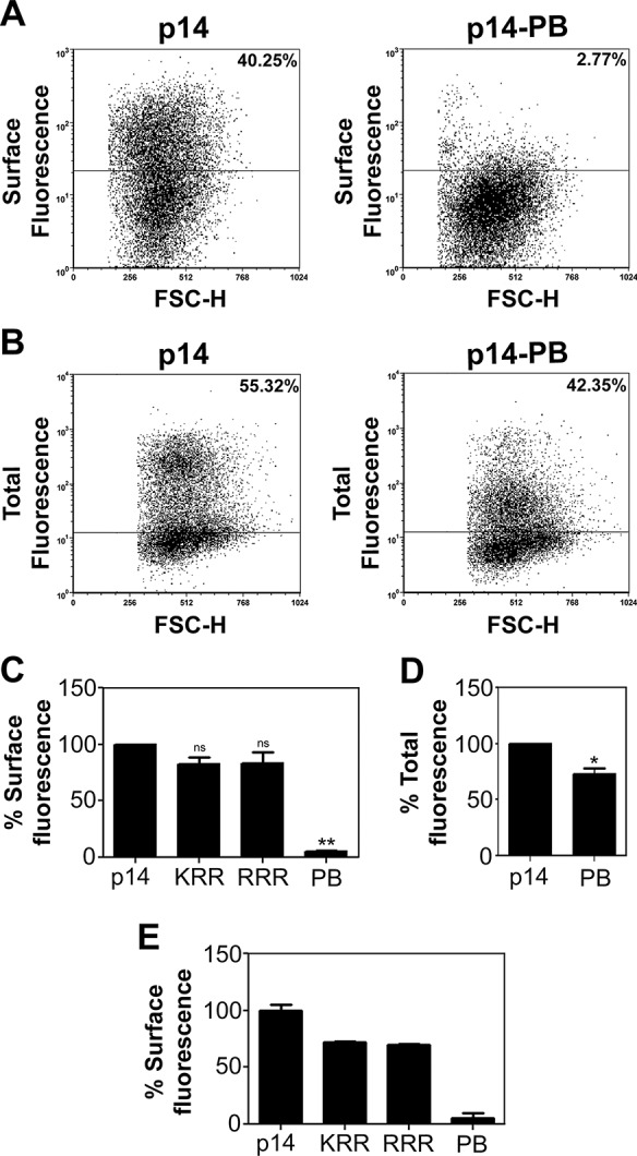 FIGURE 2: